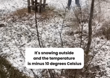 M1311042 It once had a home, but now it only has lonely, cold nights\.