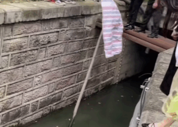 M1511001_seekor kucing yang terjebak di saluran pembuangan air #catrescue_part2