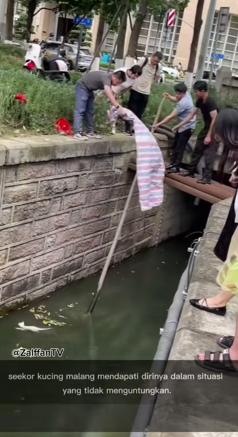 M1511001_seekor kucing yang terjebak di saluran pembuangan air #catrescue_part2