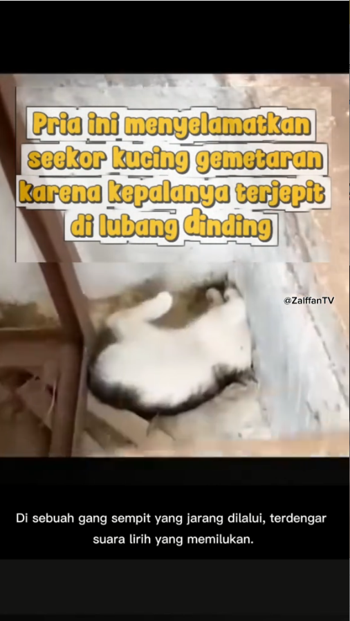 M1511002_menyelamatkan seekor kucing gemetaran karena kepalanya terjepit di lu…_part2