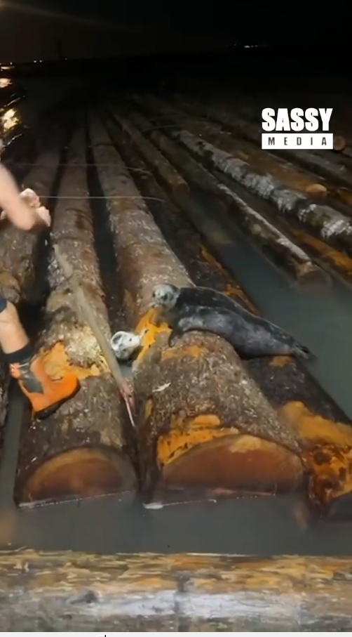 M1511017_Poor baby didn know what to do!_part2