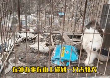 M1311011_Thank you letting me feel warm love in subzero winter#st…_part2