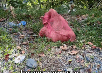 M1311027_Tú serías capaz de hacer algo así Virely_part2