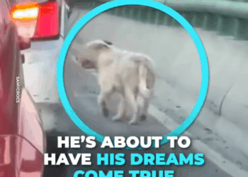 M1311034_Years living on streets ended in five seconds_part2