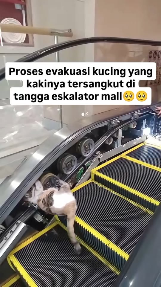 M0911001 Terima kasih pak teknisi dan staff mall, part1