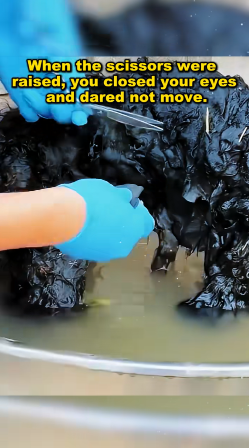 M2411001_Would you like to be hands guard stray dogs #straydog_part2