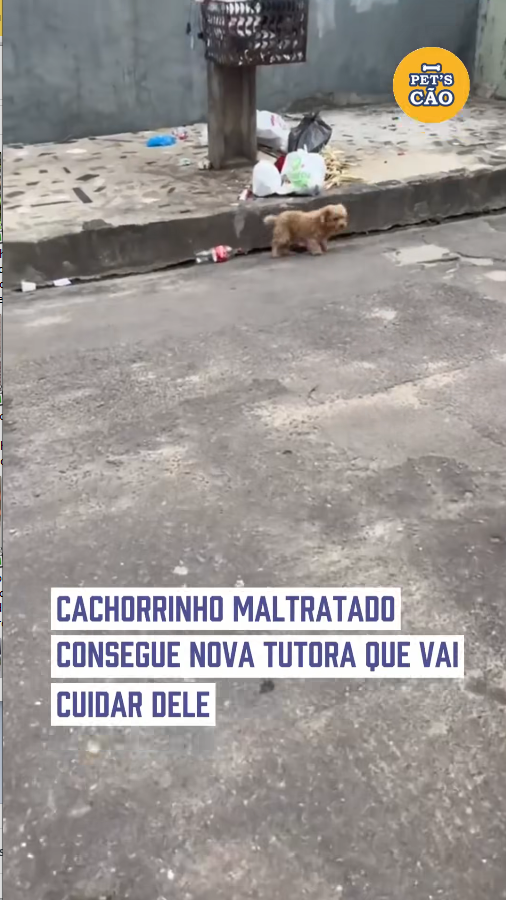 M0111025_Esse anjinho finalmente vai estár em um lar feliz🐶🐕 Créditos do vídeo @amanda_reis9 #petscao #amor #pet #pets #cachor_part1