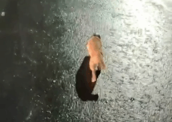 M0911002 minta tolong utk daerah lokasi KUA KARANGSONO MBARAT MAGETAN part1