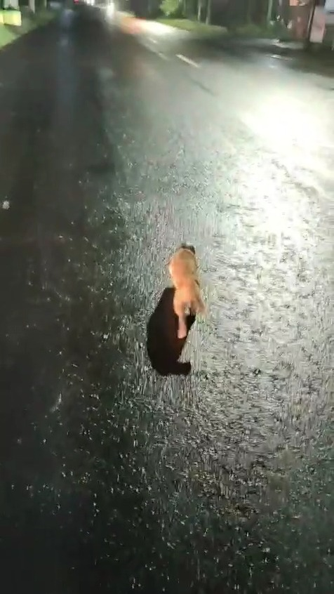 M0911002 minta tolong utk daerah lokasi KUA KARANGSONO MBARAT MAGETAN part1