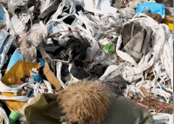 M1511010_Rescue poor dog #pet #fyp #xuhuong #trending #dog #dogsoftiktok #pets…_part2