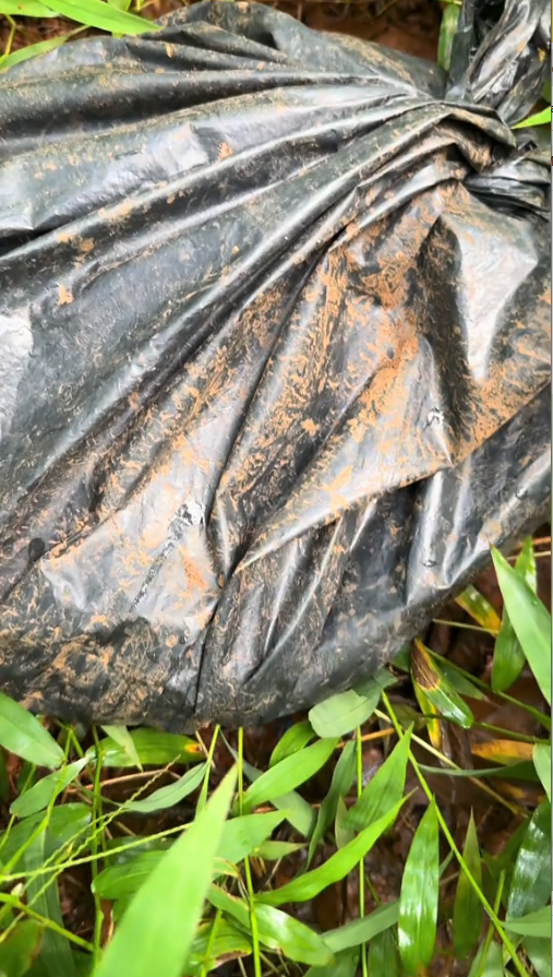 M1710002 Who is so cruel cold in wind #LyHoa #countrysidelife #trend #love part1