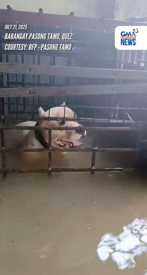 M2511002_BABALA Sensitibong balita. Maging responsable sa pagbabasa at pagkom…_part2