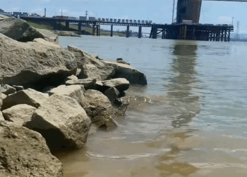 M0911003 rescued puppy trapped in rock by river, then