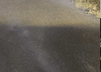 M2511010_Sad eyes tell all loneliness of abandoned dog. Đôi mắt buồn k…_part2