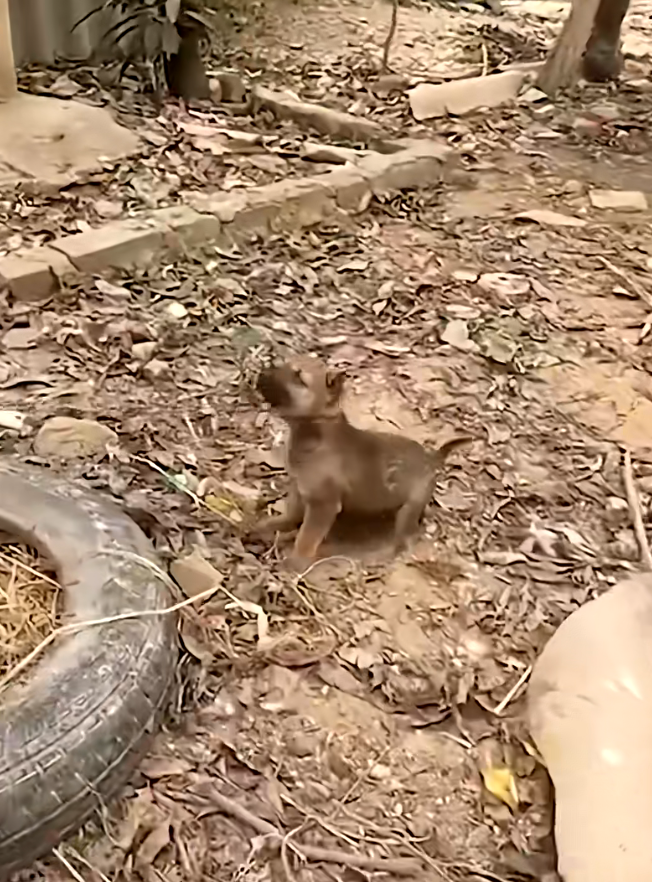 M2511011_TikTok_part2