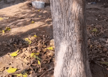 M2511014_bittersweet thing in line of work, you can never predict how…_part2