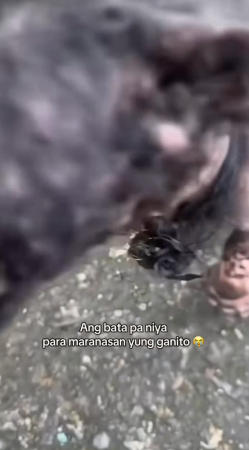 M2711003_Ang sarap mapanood na nababago natin bubay nila. Raevin Bonifacio Blogs_part2