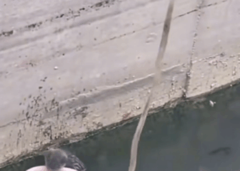 M2711016_TikTok_part2