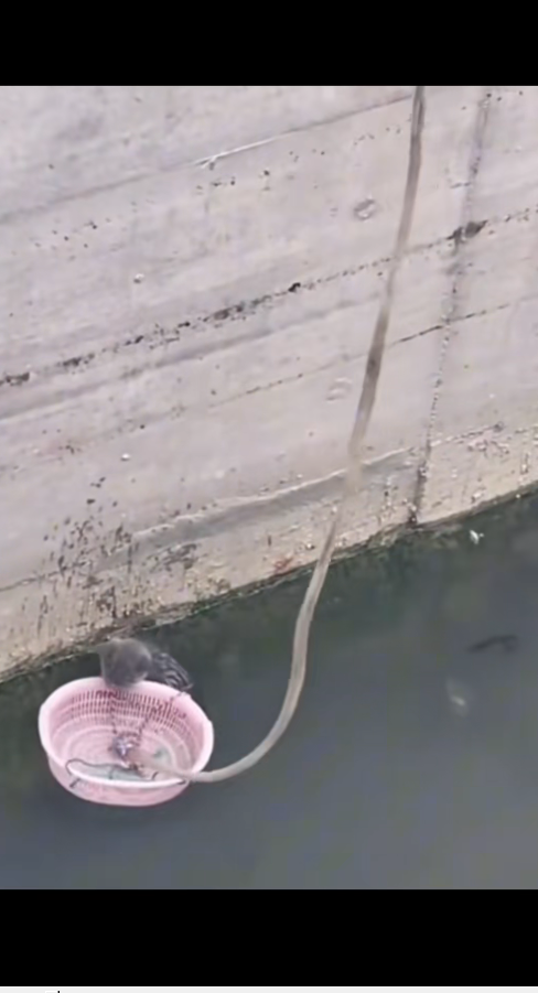 M2711016_TikTok_part2