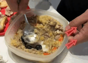 M0711018 Disabled Teddy Journey to Hope #saveadog #viraldog #animalrescue #d