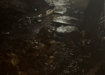 M2911008_Poor puppy tied abandoned by his owner in middle of pouring rain_part2