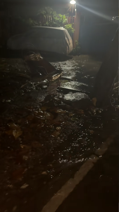 M2911008_Poor puppy tied abandoned by his owner in middle of pouring rain_part2