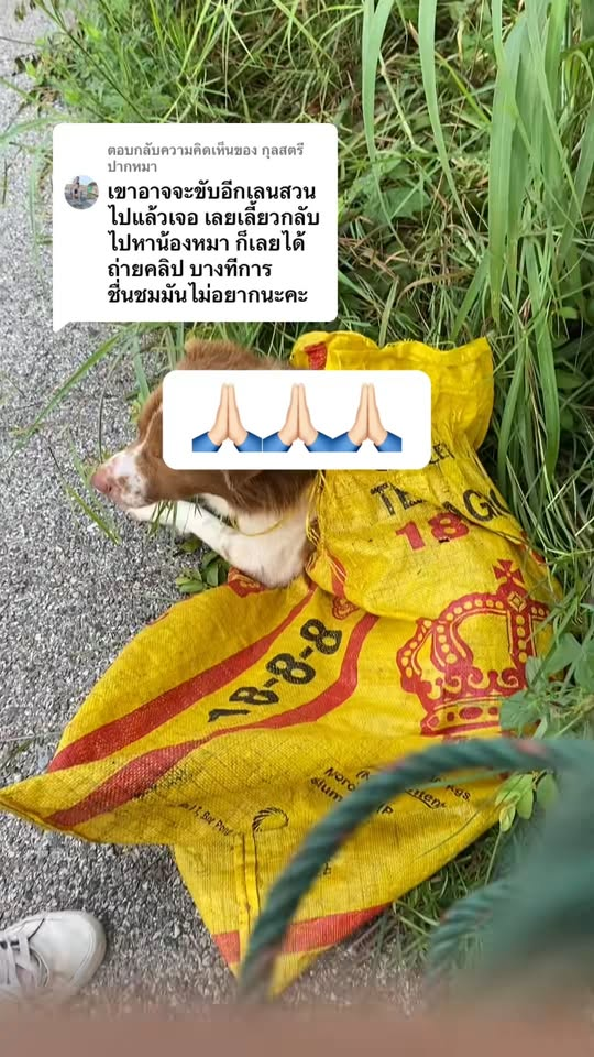 M0911010 Reply @K.K.S.T. Pakma Thank you for understanding. It’s like what I got.