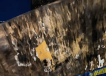 M0911014 went out to buy food hoping makikita ko ulit yung kuting na nakita part1