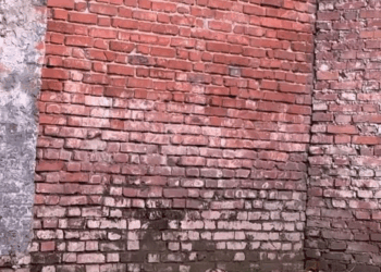 M0711021 #cat #trending #xuhuong #fyp #pet part2