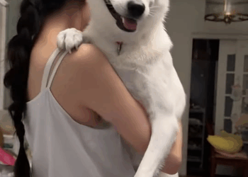 M1111010 rescued puppy an injured leg