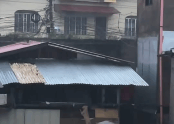 M0711022 Don leave your pets behind #fyp #cebucity #typhoontino #Tino #fur