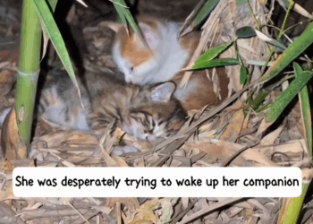 M1010008_He even left without name really wish could have met him earlie…_part2