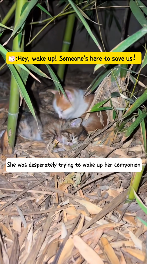 M1010008_He even left without name really wish could have met him earlieā¦_part2