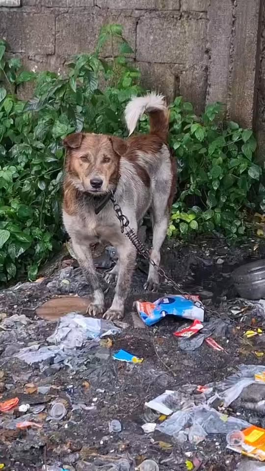 M1111012 SA TAGAL NYANG NAMUH4Y SA MADÙMI AT NAUUL4NAN