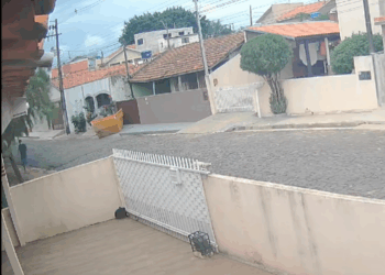 M“The helpless cat was caught in the gate, suffering in unbearable pain.”_part2