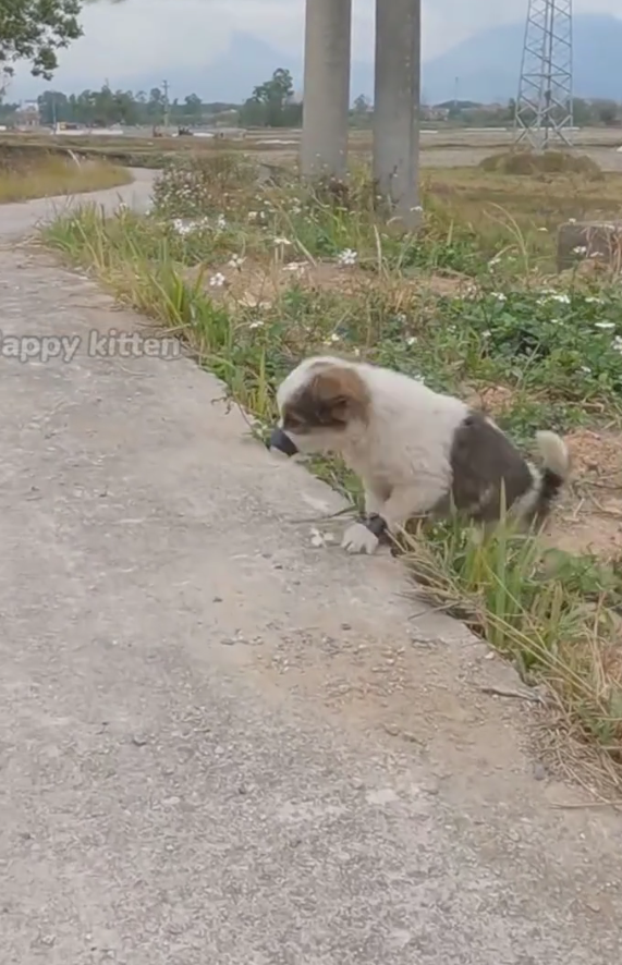 M0911006_He Cried Days as People Passed Him By Until Happened_part2