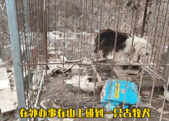 M1311011_Thank you letting me feel warm love in subzero winter#st…_part2