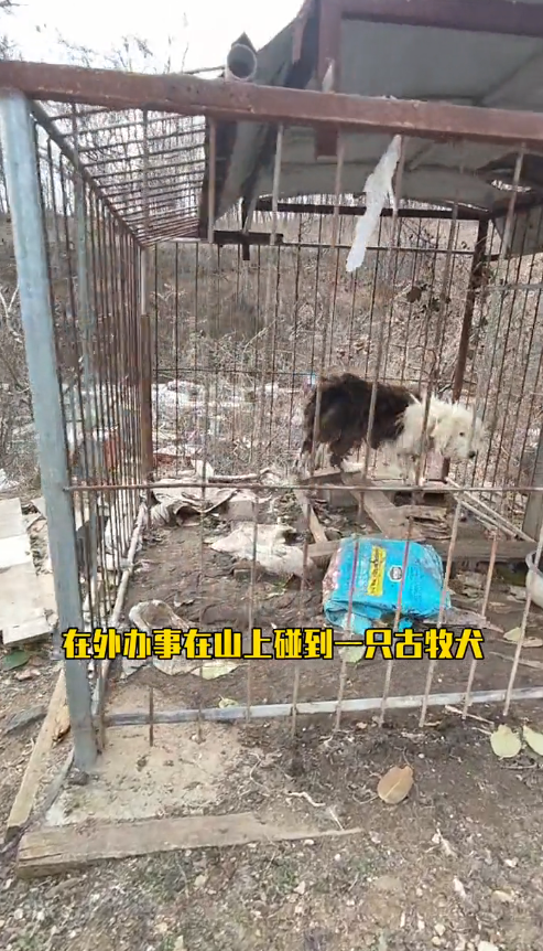 M1311011_Thank you letting me feel warm love in subzero winter#st…_part2