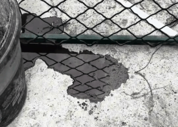 M1311013 Every time it hears footsteps, it lifts its head in hope.part2