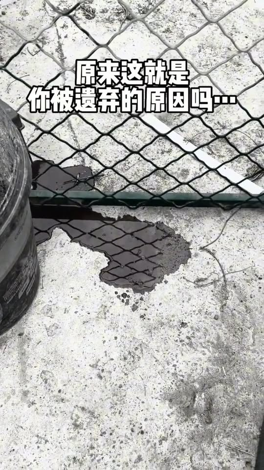 M1311013 Every time it hears footsteps, it lifts its head in hope.part2