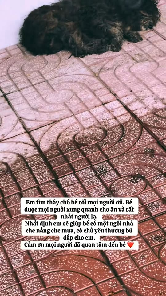 M1311026 Thanks everyone for spreading love