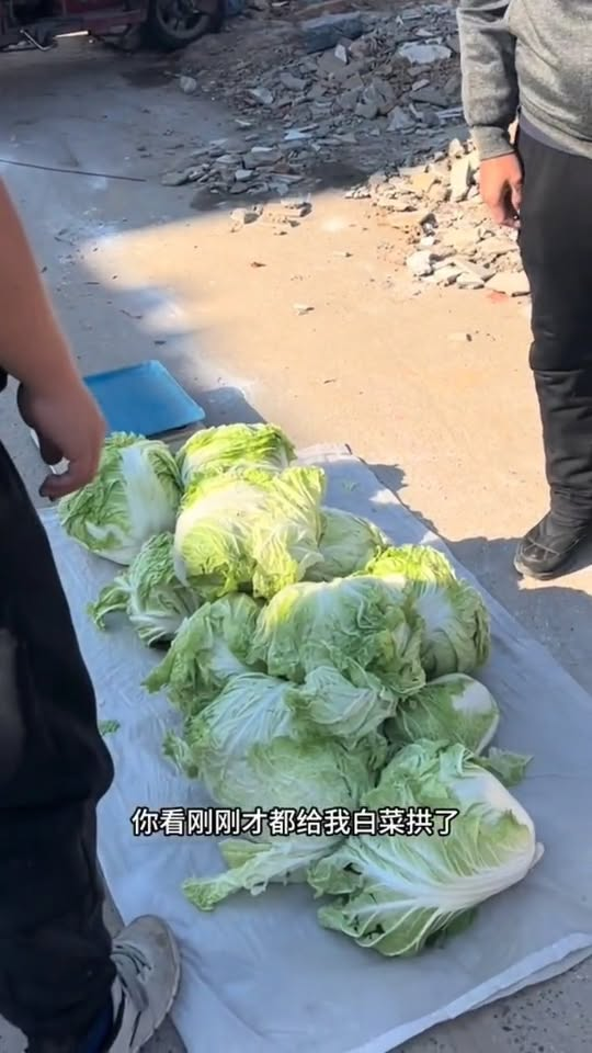 M1311038 Dog encountered at wet market#dog #straydogs #pet part2