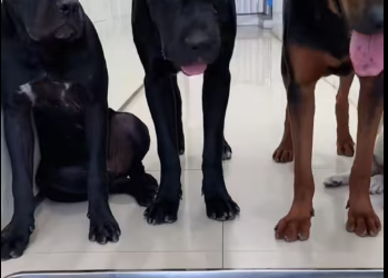 M1212001_TikTok_part2