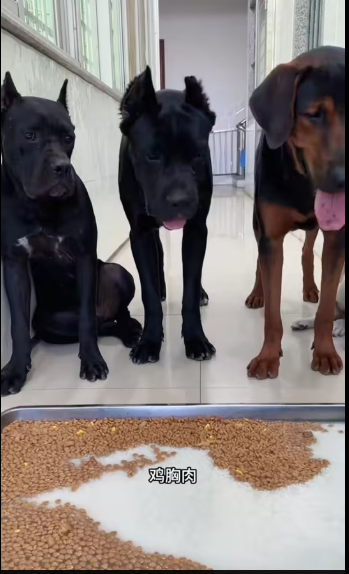 M1212001_TikTok_part2