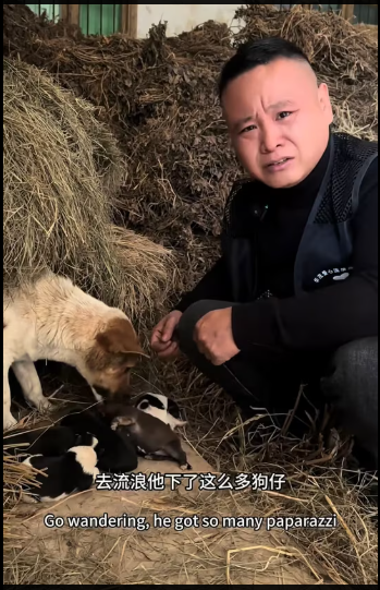 M1212008_Today I rescued an abandoned stray dog with eight newborn puppies. Seeing this scene made me so sad_part2