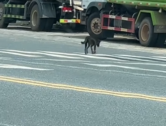 M1212009_Ji’an Six Months Later_part2\