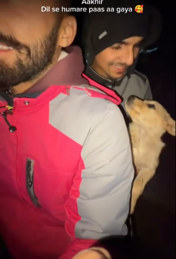 M0912029_From fear to safety… from jungle to love. Grateful we found him in time. �❤️” #dog #rescue #instagram #viral#love V_p