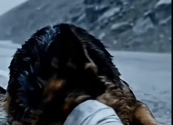 M1212016_Dog with its mouth and eyes covered, abandoned in the middle of the road, but a kind woman saved its life just in time_part2