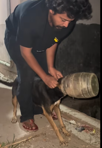 M1212017_Alhamdulillah the second mother dog was rescued. I was posting help, no one comes with negative words. When walking on the road_pa