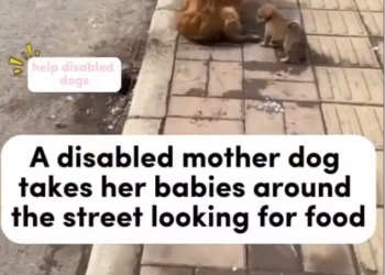 M1312001_Even helps #fyp #usa tiktok #lunchtime #fypchallenge_part2